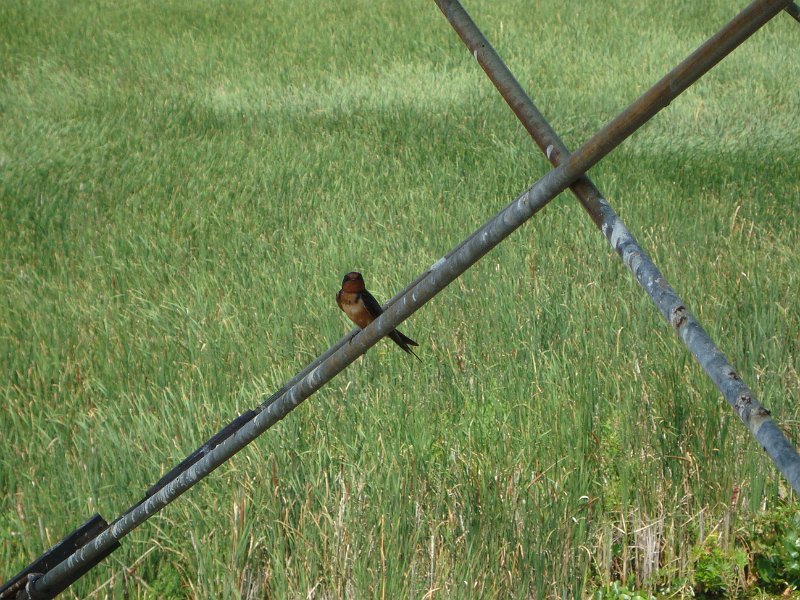 04-08-2010 18-51-51.JPG